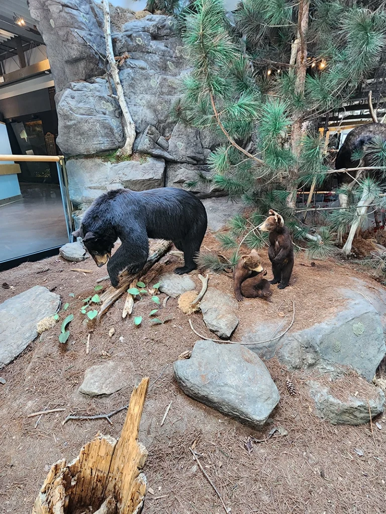 Algonquin Provincial Park Visitor Centre