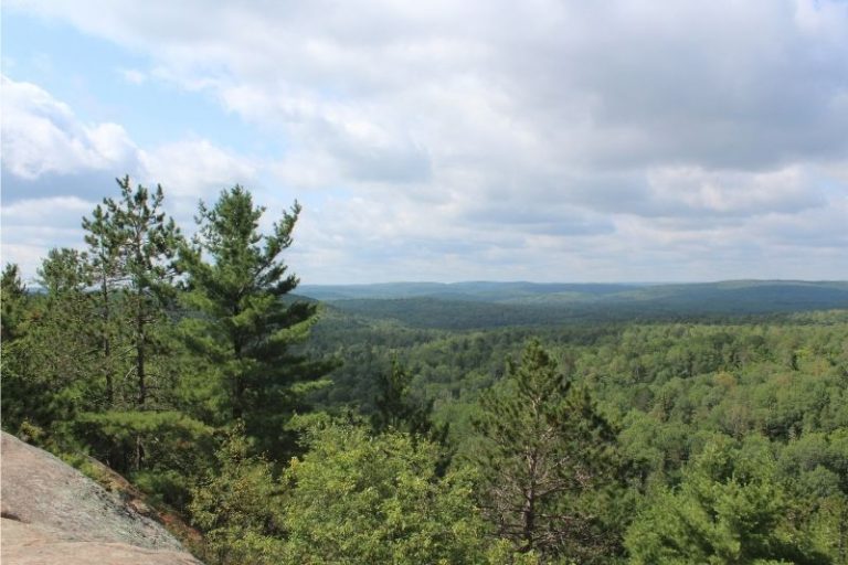 Algonquin Provincial Park Lookout Trail