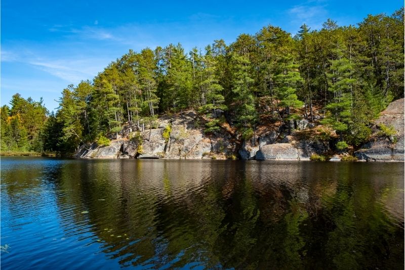 Severe Storm Batters Algonquin Park | Ontario Provincial Parks