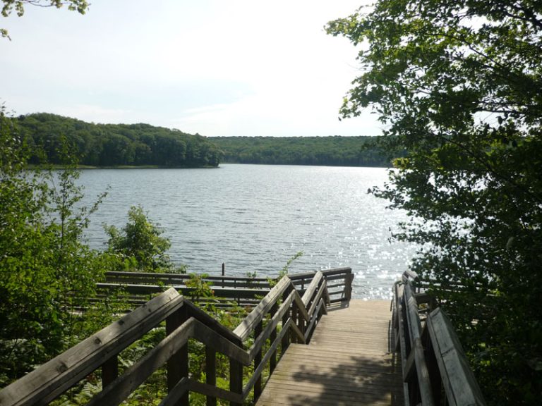 Family-Friendly Ontario Provincial Parks Worth Visiting
