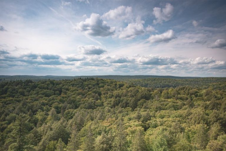 Why the Track and Tower Trail Is One of Ontario’s Best Hikes