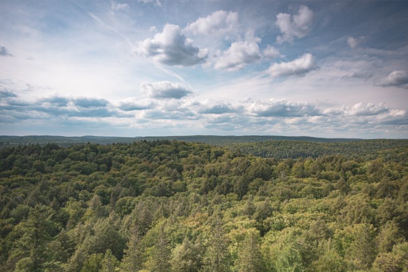 Why the Track and Tower Trail Is One of Ontario’s Best Hikes